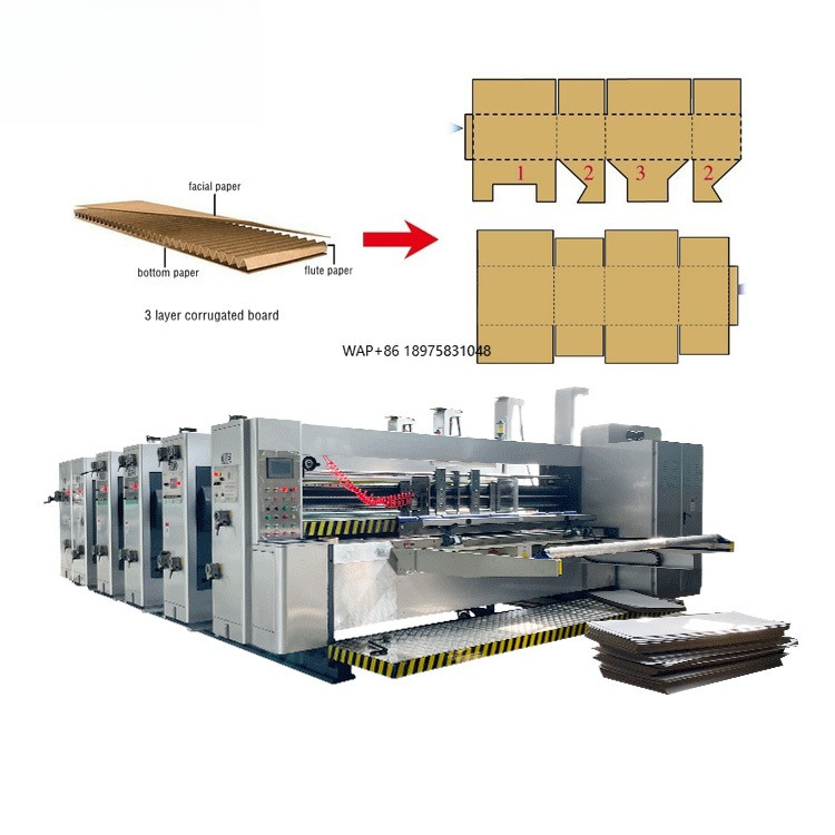 Automatic 4 Color Cartoning Pr - Die Cutting Machine reseña y precio